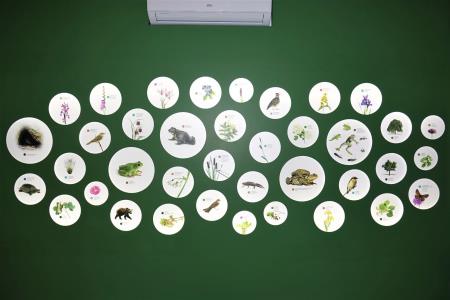 OTVORITEV ŽABJE HIŠE V GROSUPLJEM 7